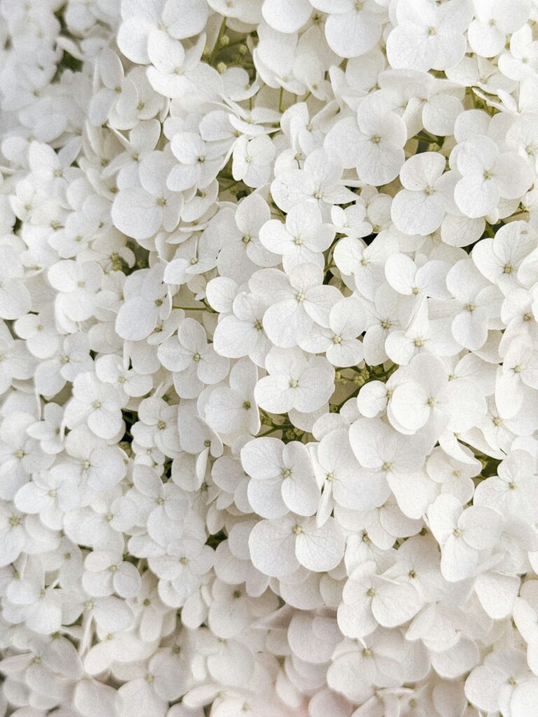 marina-zvada-hrHmItssbeE-unsplash